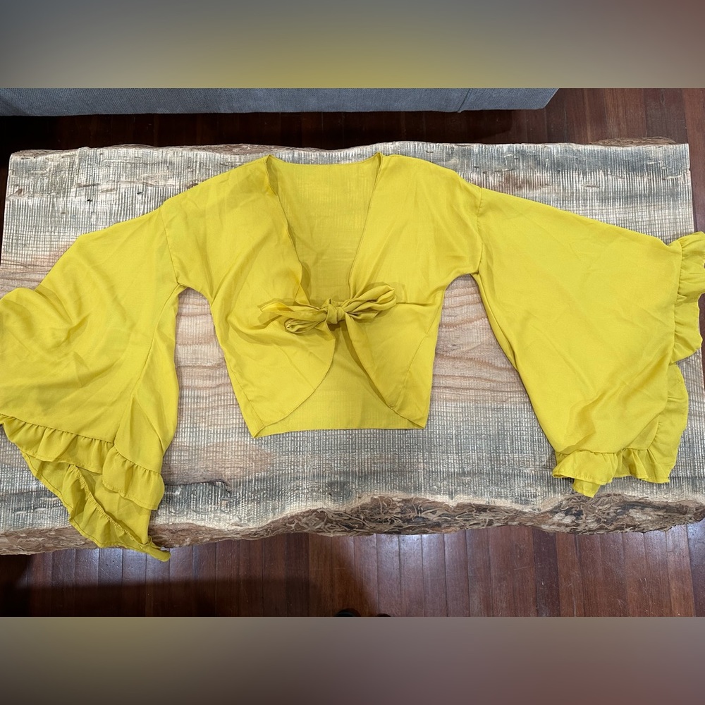 Bell Sleeve Crop Top Tie Front